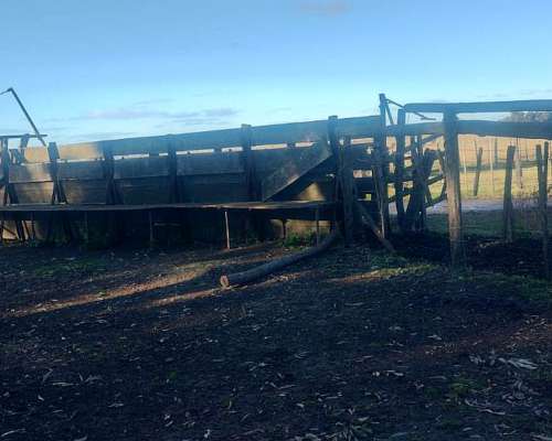 302 Has Ayacucho Pcia BS AS