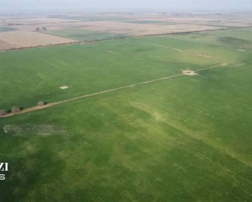 150 Ha Agricolas en Hersilia Sobre RP 38. IP 52%
