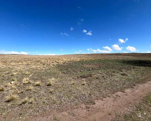 Venta Campo Ganaderas en la Carolina San Luis Paraíso