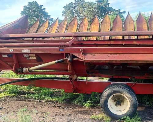 Girasolero Mainero 1040 de 10/70