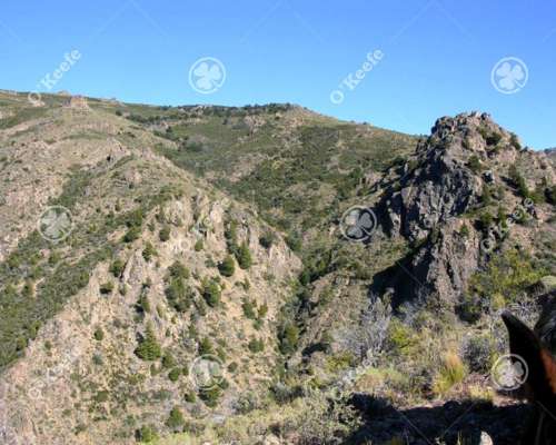 Campo en Venta de 486 Has Bariloche, Alto Rio Chubut