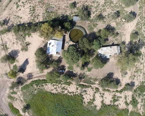 Las Catitas, Santa Rosa, Mendoza - 4.200 Ha