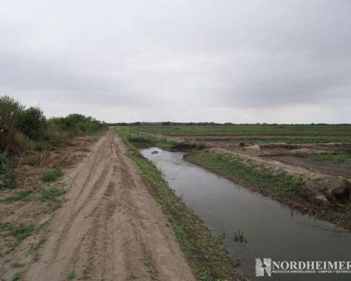 Robles , Santiago del Estero, Argentina