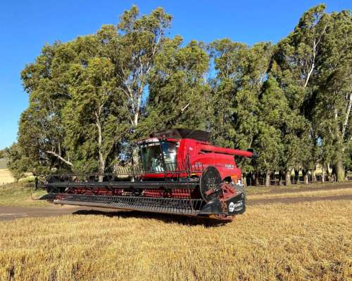 Cosechadora Case IH 7150, año 2023, 1.000 Hs Rotor, 1.800 Hs