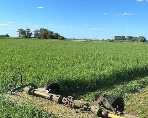 Cortadora Hiladora Eisen 4.2mts