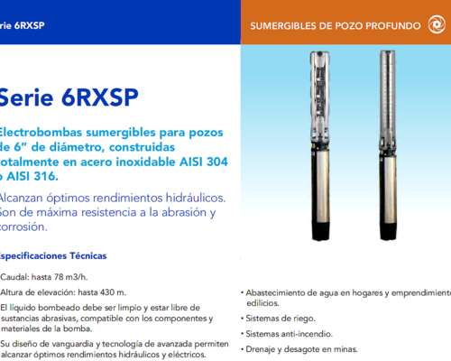 Bomba Sumergible 30 HP Rotorpump Pozo Profundo (usado)