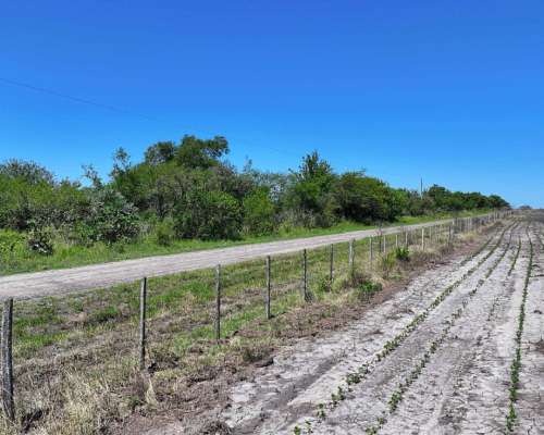 Pcia. de Entre Rios - Estacion Raices 63 Has