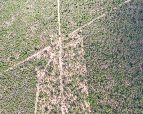 Chamical , la Rioja, Argentina
