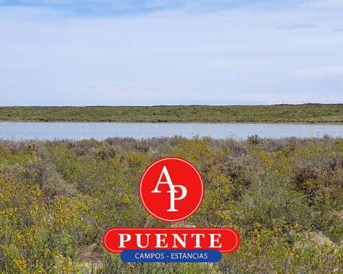 En Venta 12.500 HA. Puelén, la Pampa.