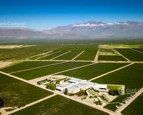 Se Vende Finca de 170ha con Plantaciones de AJO en San Carlo