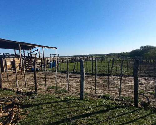 Campo Mixto 360 Hectareas
