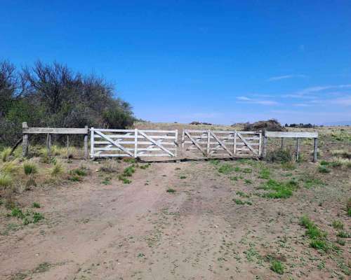 Vendo Campo Zona Villa del Carmen