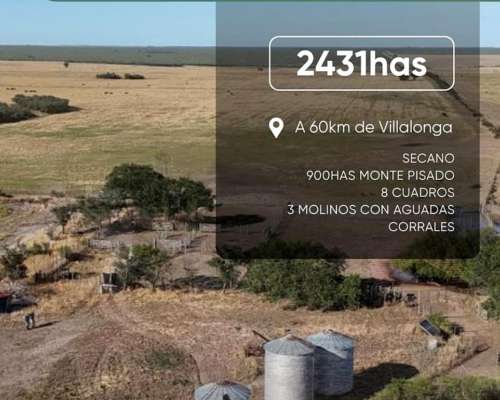 2431 Has Secano en Venta Patagones