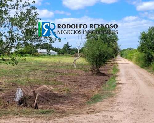 6 Mil M2 S/autovía 14, Colón ER