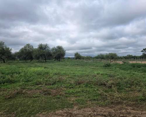 2300 Ha Ganaderas en Quines
