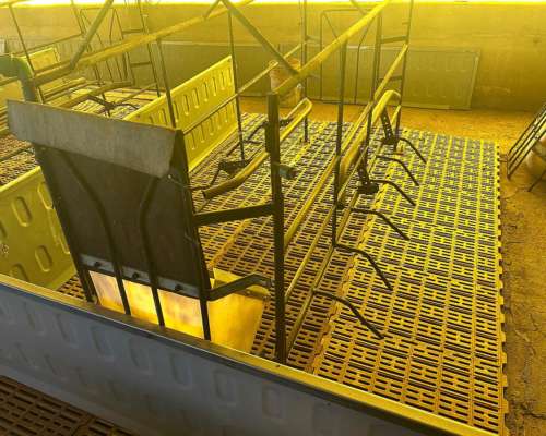 Vendo 12 Parideras Completas