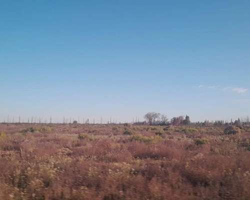 Vendo Finca en San Rafael