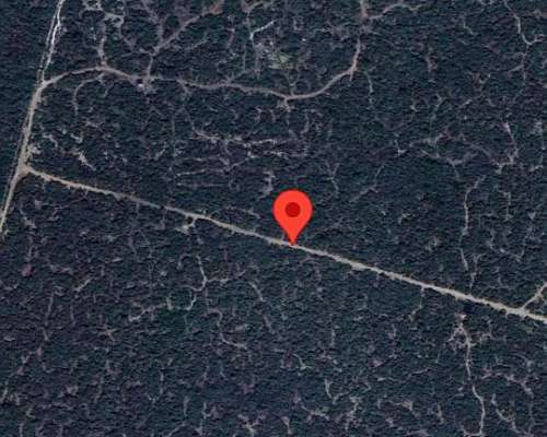 Sara Pampa DTO Pellegrini