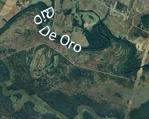Vendo Campo en la Leonesa Chaco