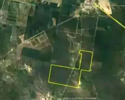 Campo Ganadería Santiago del Estero