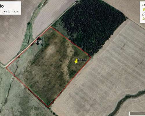 Campo en Venta San Pedro Buenos Aires
