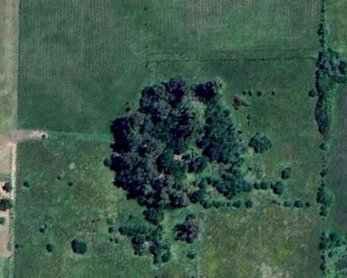 Alquilo Campo Camino a Magdalena , a 500 MT de la Ruta 11