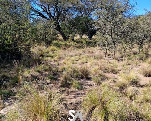 Alquila: Campo Ganadero 6000 Hectáreas en Arizona, San Luis
