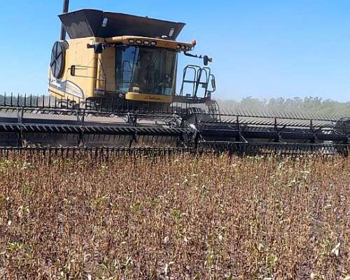 Cosechadora Challenger 680 B 2013 Excelente Estado