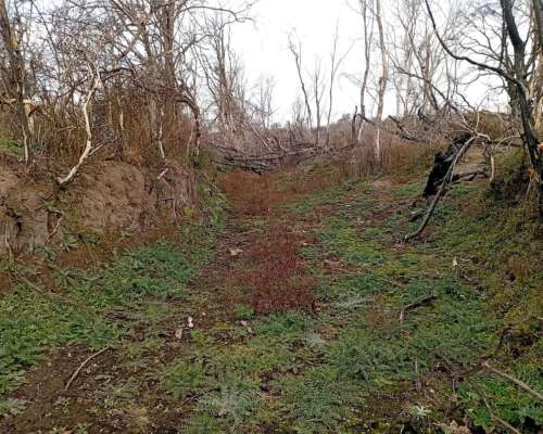 Venta de 213 Ha Ganaderas en Berrotarán