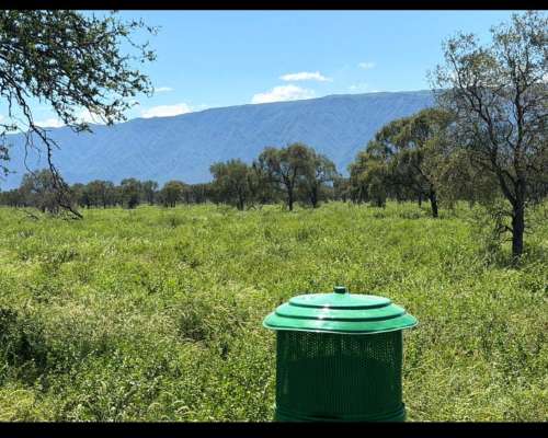 Catamarca 6300 Has Mixtas Desarrolladas