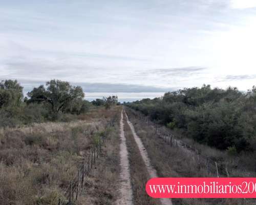 Córdoba Cruz del ELE 1300 Has Ganaderas Selectivas