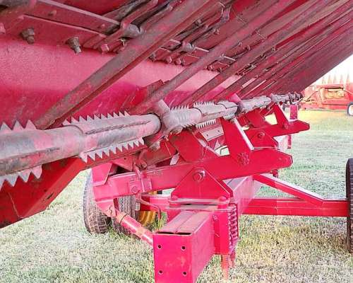 Girasolero Maizco de 10 a 70. año 1998.