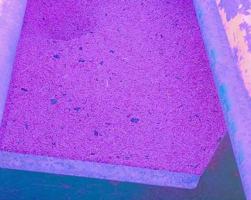 Pierobon en Directo Estado de Campo