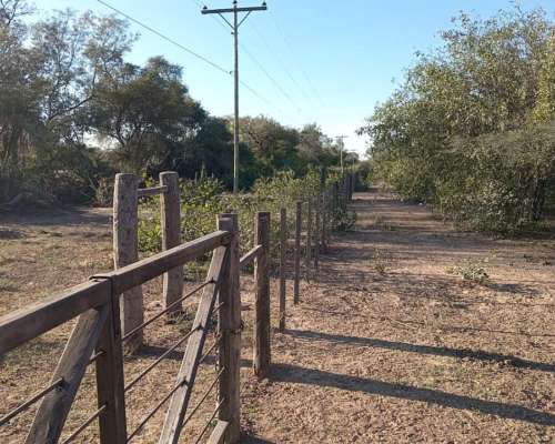 Venta 892 Hect. Campo Miraflores Chaco