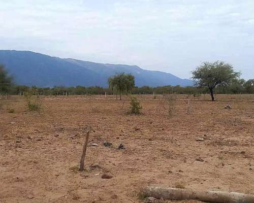 Ferlot Campo Agricola Ganadero en Catamarca Vendo