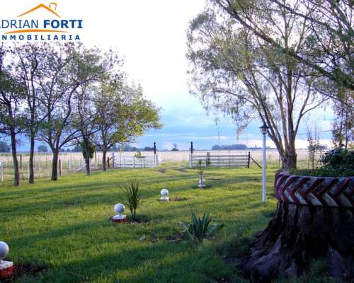 275 Has Gral. Alvear