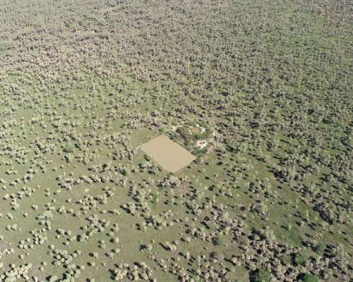 2.895 Ha en Paraguay- Magnífica para Ganadería