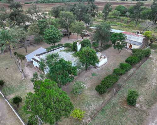 Pcia. de Chaco - Villa Angela 99 Has