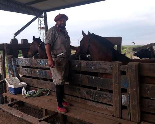Busco Trabajo de Tambero Insemnador Tractor
