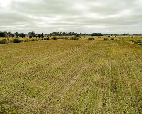 General Mansilla, Magdalena, Buenos Aires - 78 Ha