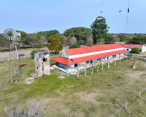 Pcia. de Corrientes - Curuzu Cuatia 14884 Has