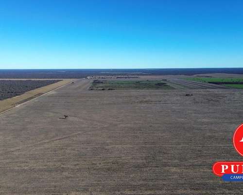 1000 HA. Agrícolas en Alquiler