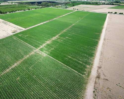 Finca de 49 Ha en Montecaseros