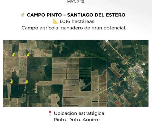 Campo Pinto - Santiago del Estero