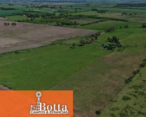 Chacra en Venta – 16 Has – Mercedes, Buenos Aires