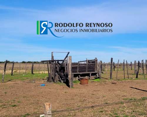 100 Ha en Concepción del Uruguay
