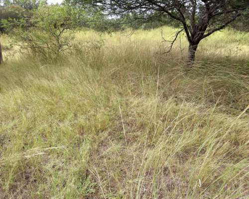 Campo en Loreto Posibilidad de Loteo