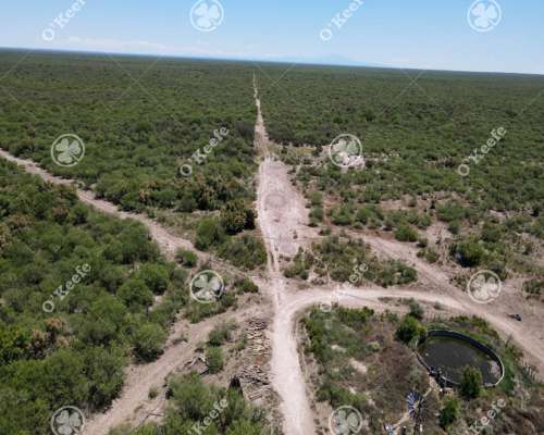 Campo Cría- Recría 74.000 Has Mendoza