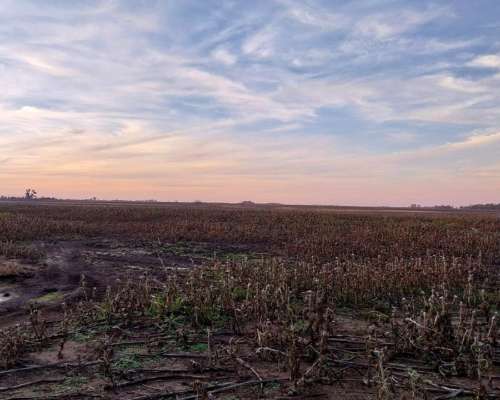 Campo en Bolivar 330 Has