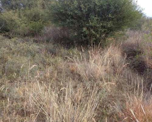 Milagro (LA Rioja) 6.000 Has Ganaderas .